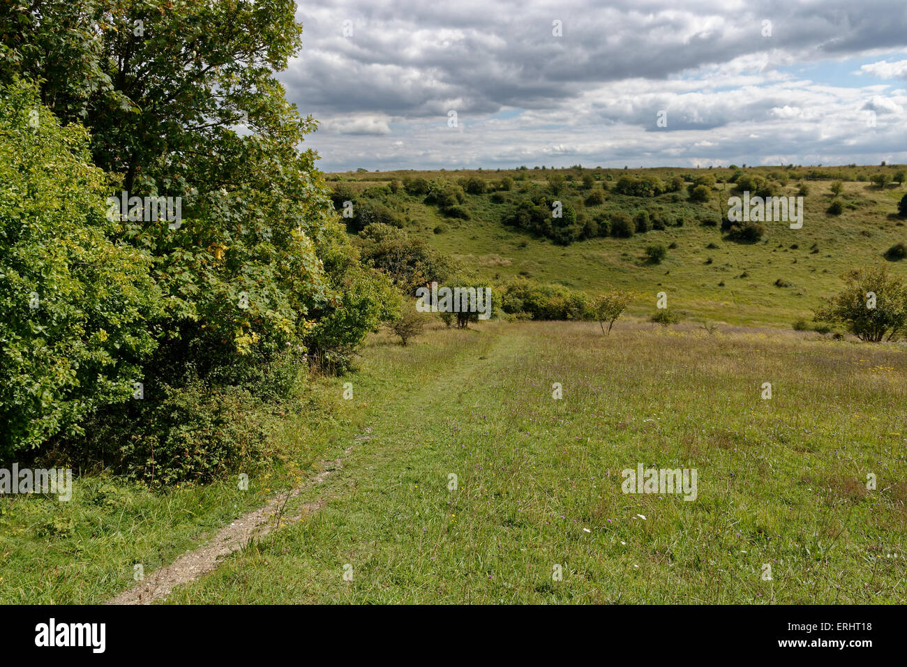 St Cathrin's Hill, Riserva Naturale SSI, Winchester, Hampshire, Inghilterra, Regno Unito. Foto Stock