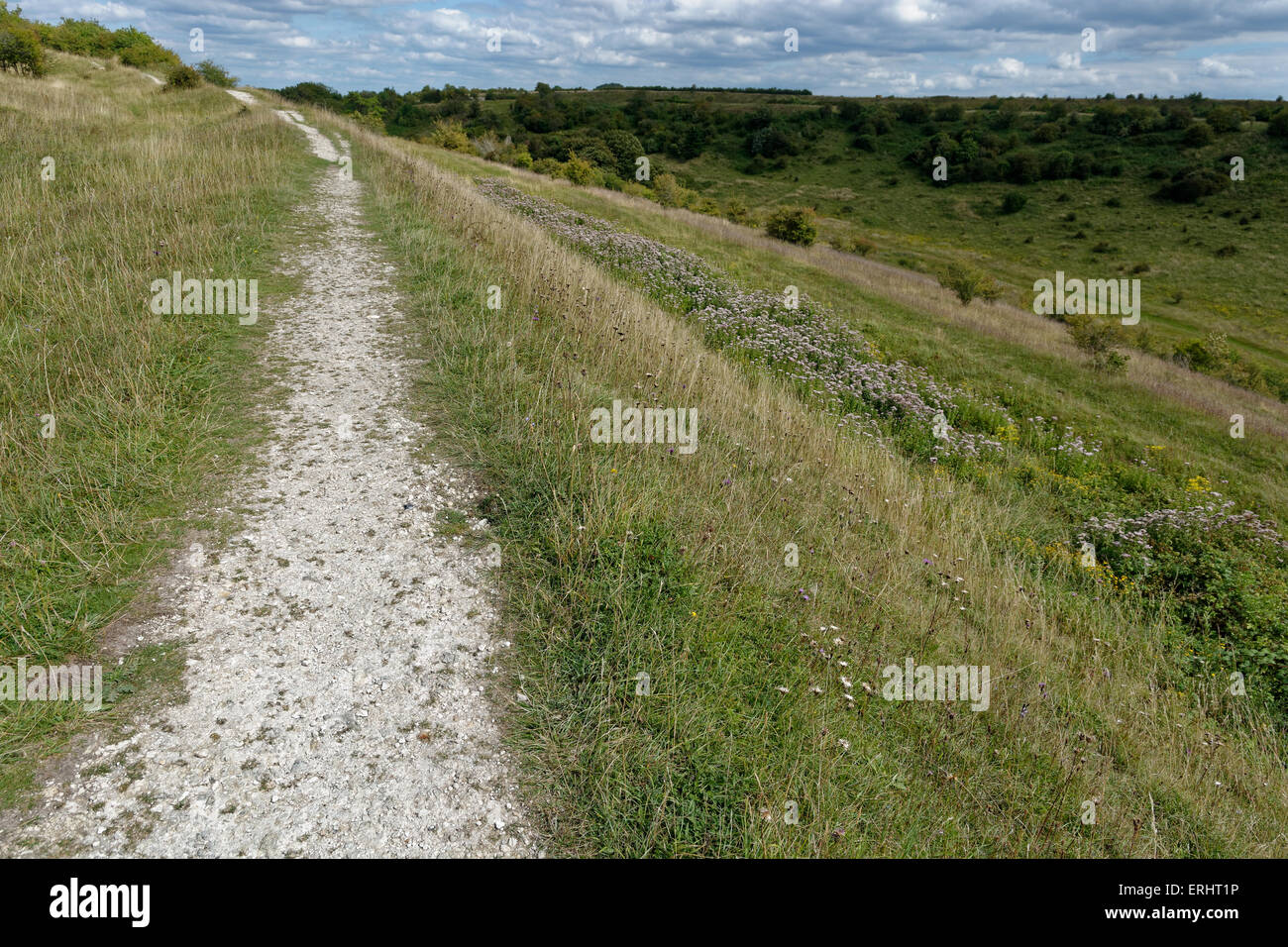 St Catherine'S Hill, Iron Age Hill Fort, Winchester, Hampshire, Inghilterra, Regno Unito, Gb. Foto Stock