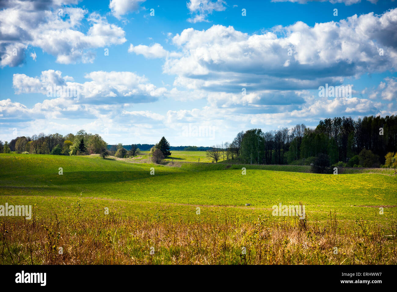 Campo di erba verde, alberi e nuvole, la Masuria Foto Stock