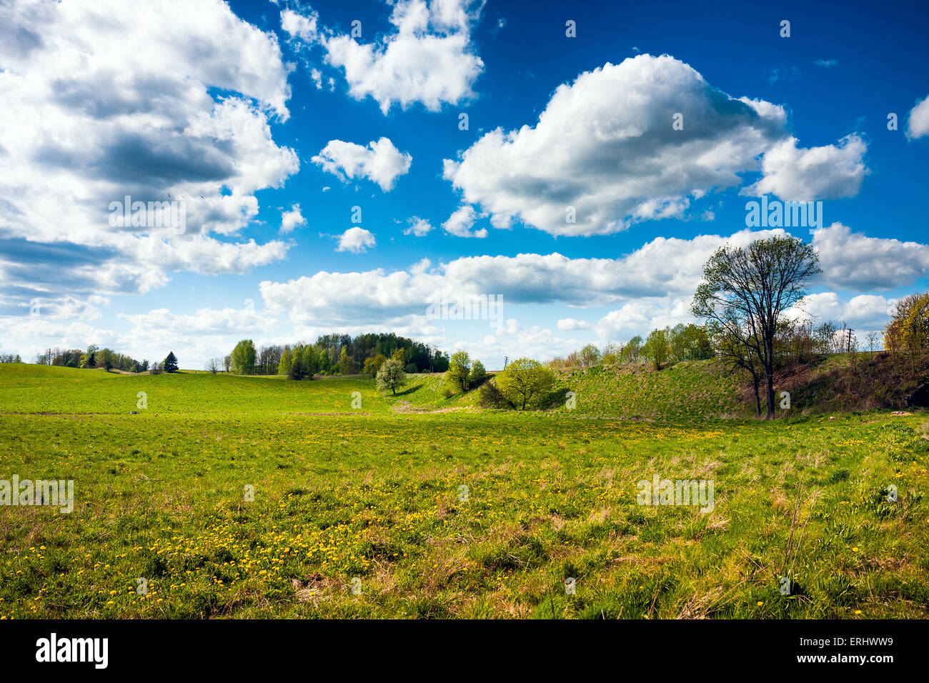 Campo di campagna cielo blu e nuvole Foto Stock