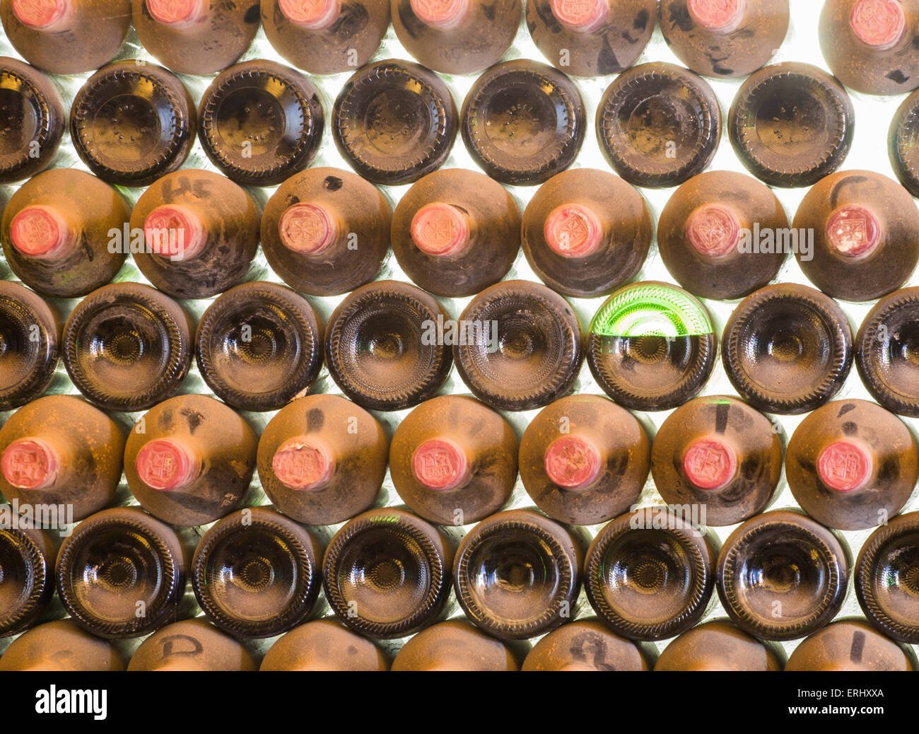 Polverose bottiglie di vino in cantina Foto Stock