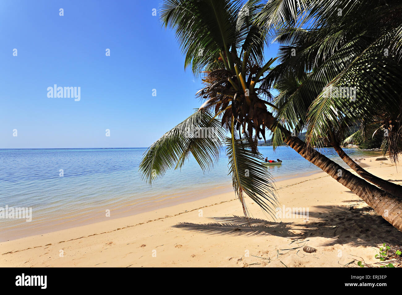 Anse aux Pins, Beach sull'Isola Mahe, Seicelle Foto Stock