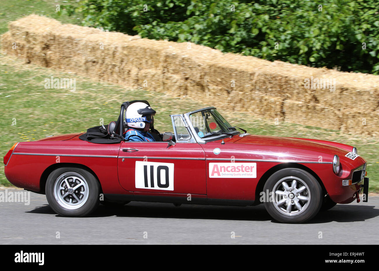 I partecipanti a questa edizione del motor racing sprint evento al Motorsport al Palace a Londra Sud 24.05.2015 Foto Stock