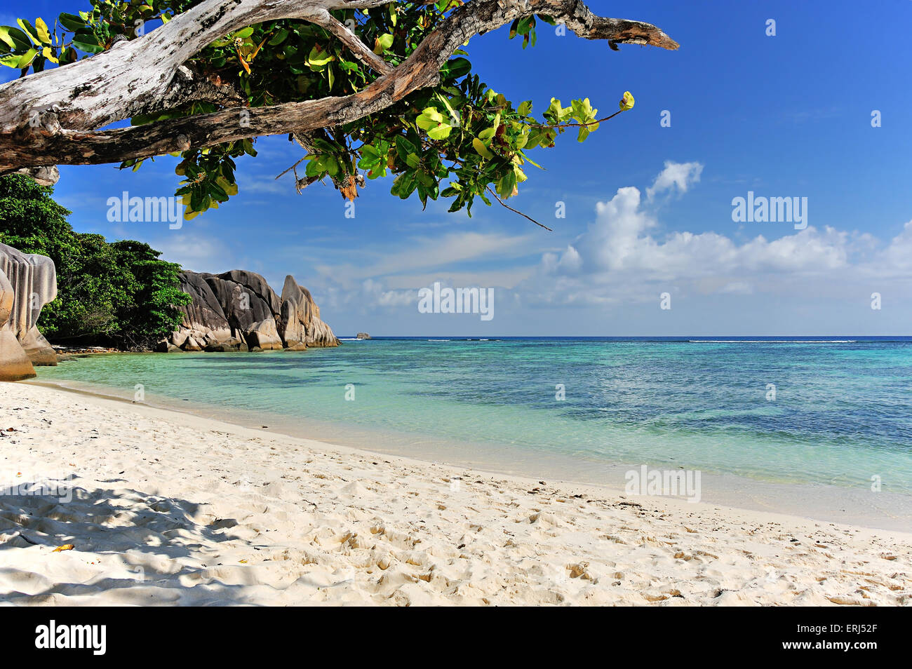 Source d' Argent, Beach sull'isola di La Digue, Seicelle Foto Stock
