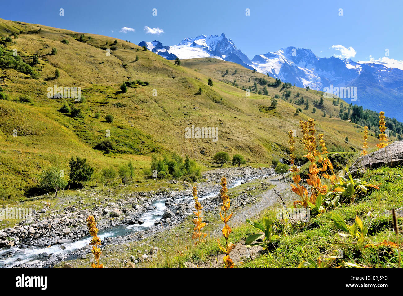 Ultimo summerdays delle Alpi a valle Valfroide, vicino la grave ai piedi di La Meije, sulle Alpi francesi, Francia Foto Stock