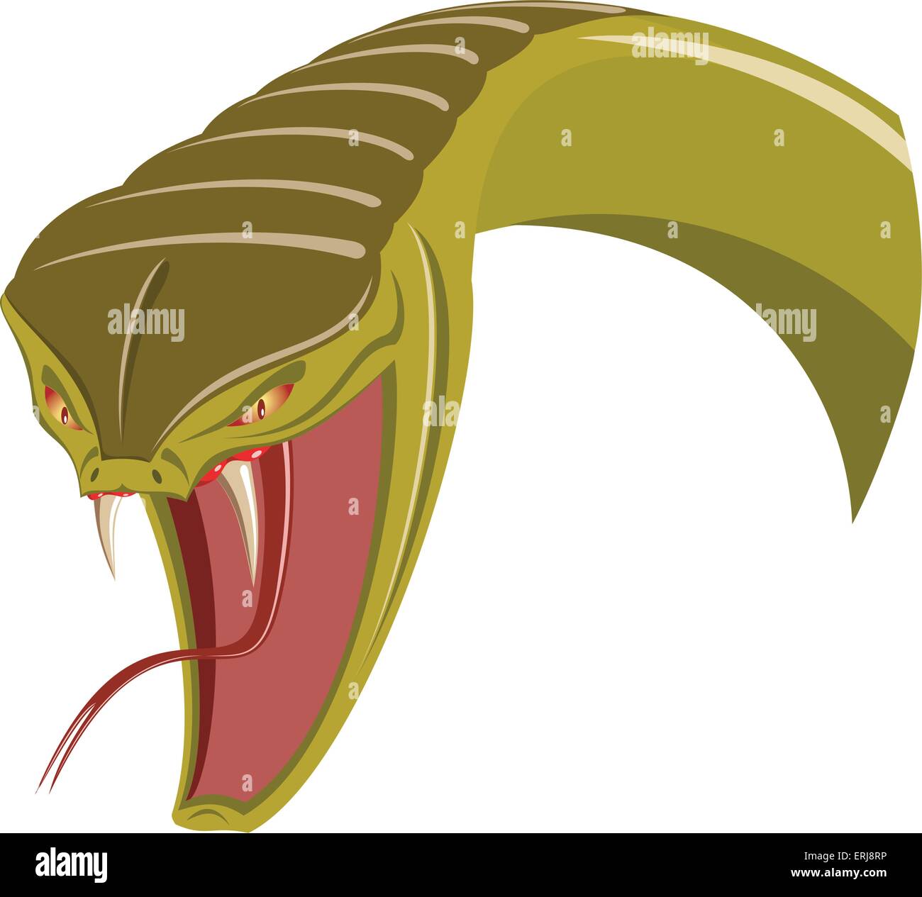 Testa di serpente - isolato su bianco Illustrazione Vettoriale