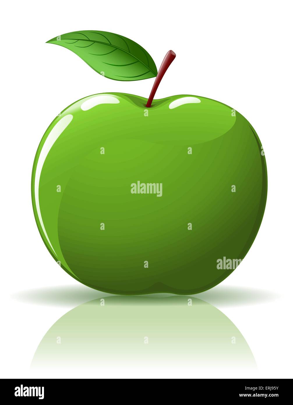 Bella mela verde isolato su bianco Illustrazione Vettoriale