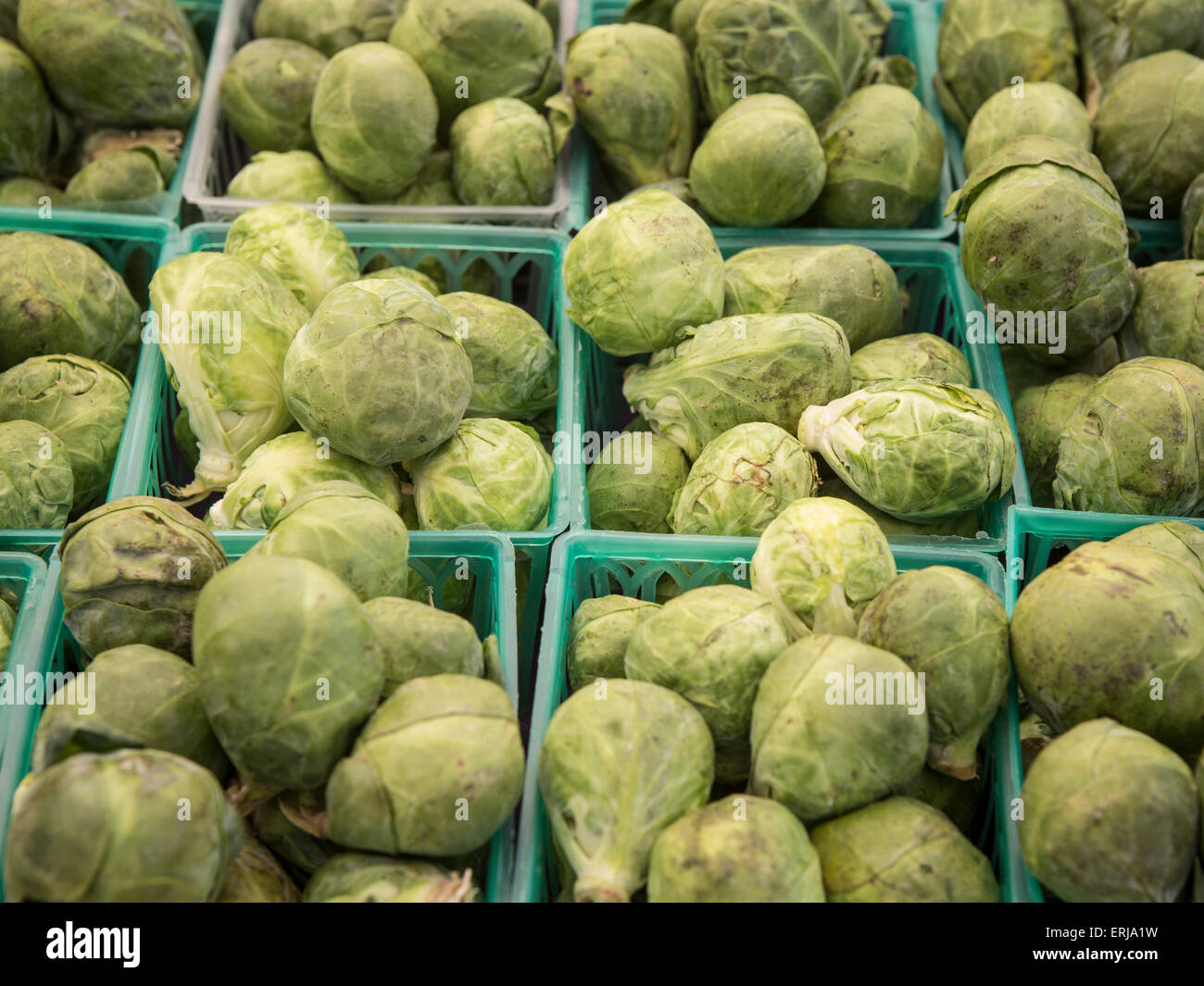 Organic i cavoletti di Bruxelles sul display nel mercato degli agricoltori. Foto Stock