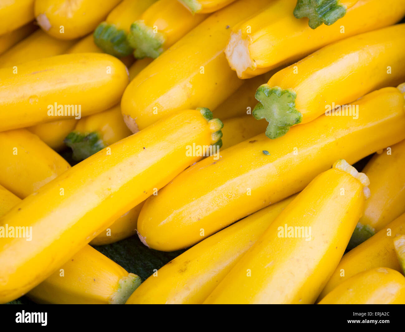 Zucca gialla sullo sfondo Foto Stock