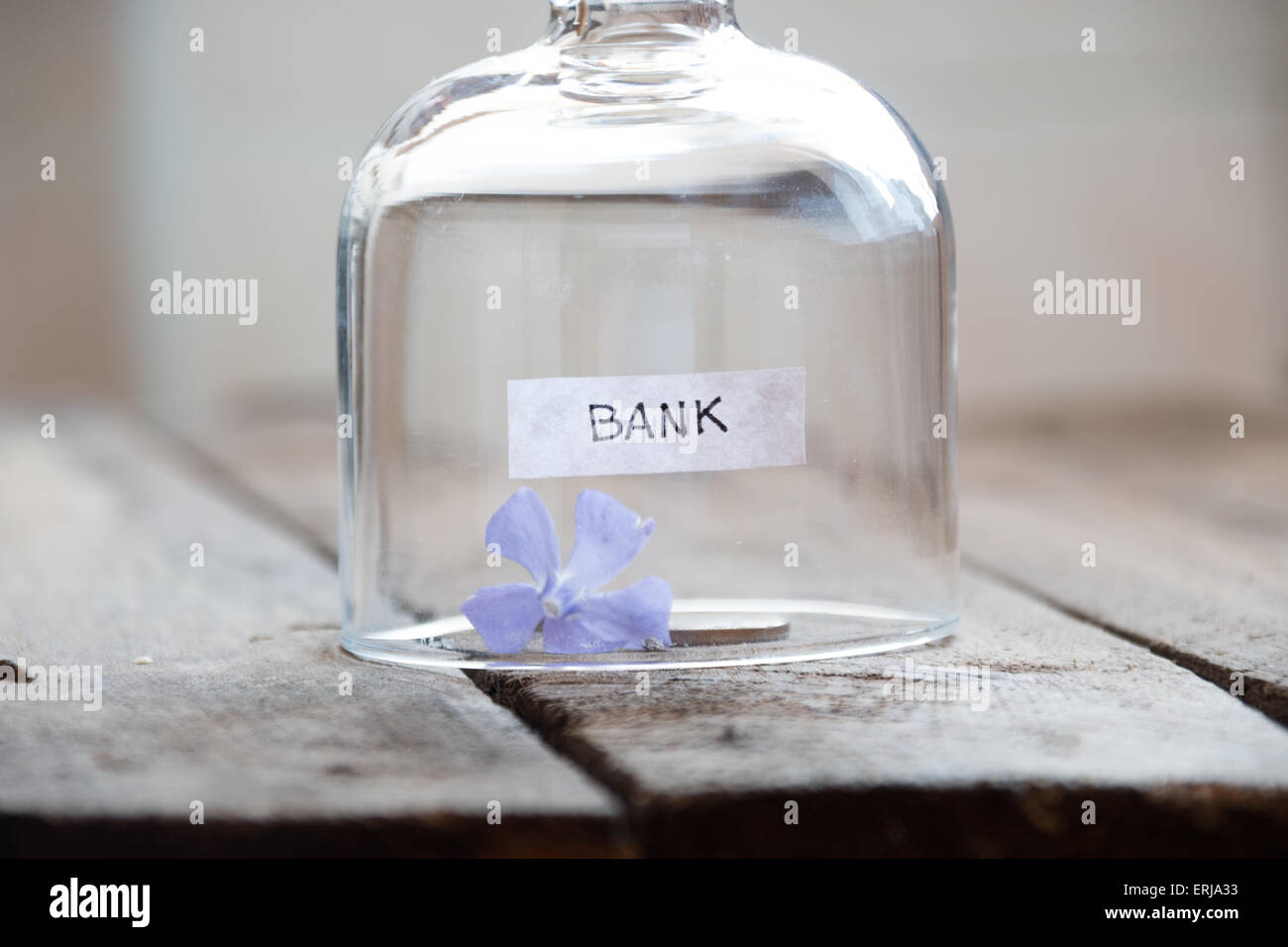 Concetto di banca. Una moneta e fiore blu su un tavolo sotto una copertura di vetro. Foto Stock