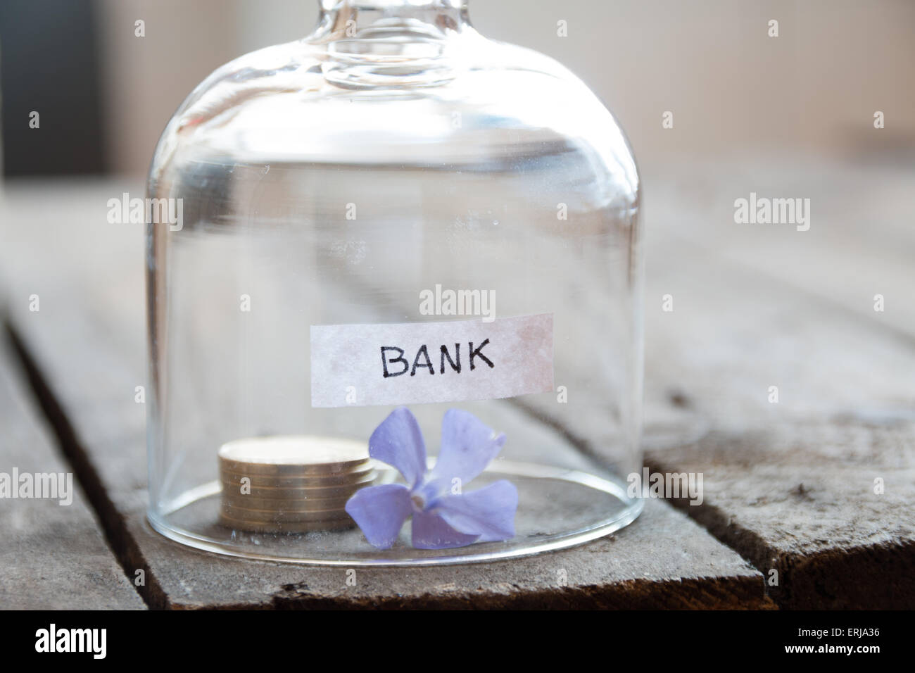 Concetto di banca. Le monete d'oro su un tavolo sotto una copertura di vetro e fiore blu. Foto Stock
