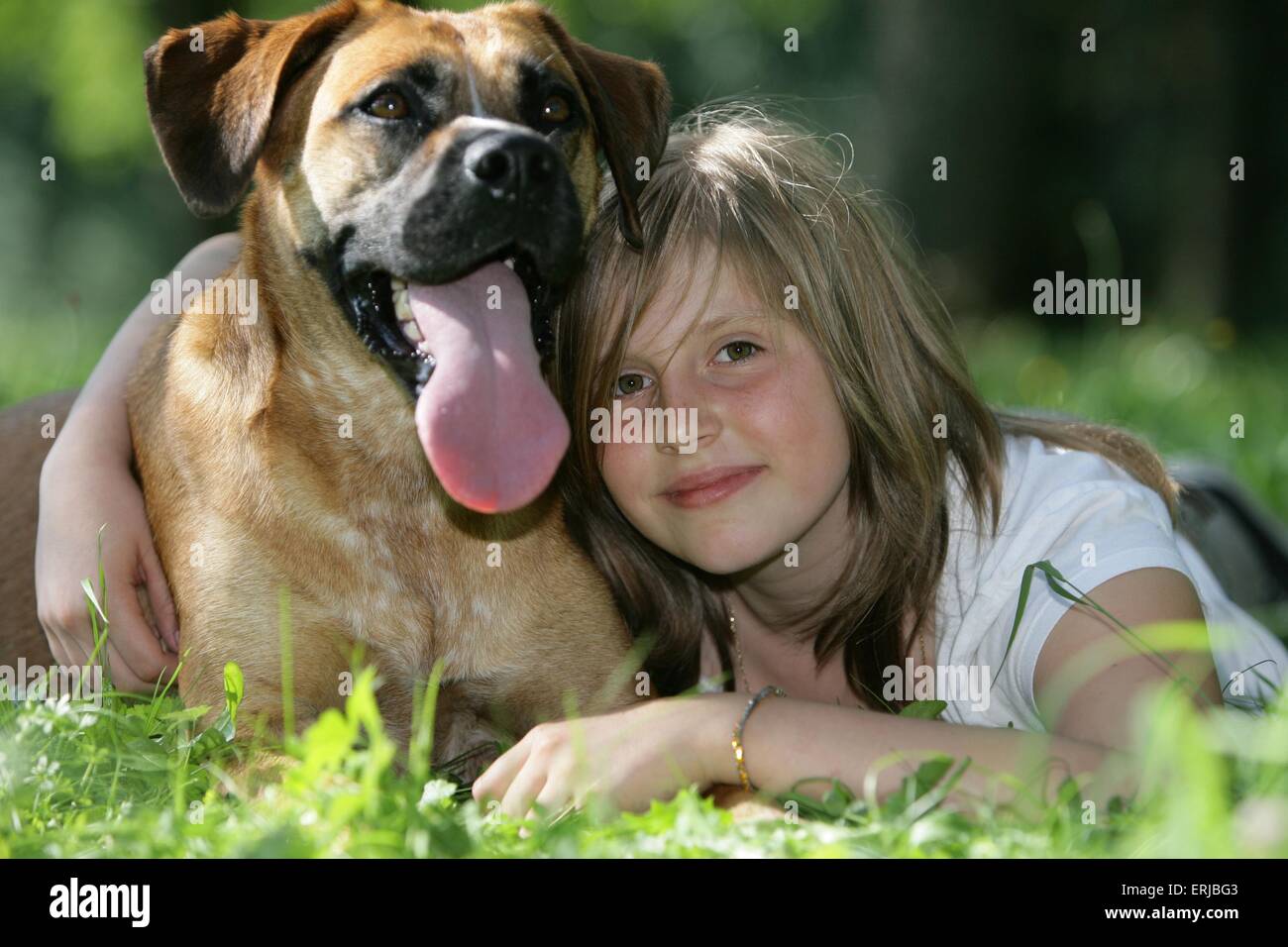 Ragazza e mongrel Foto Stock
