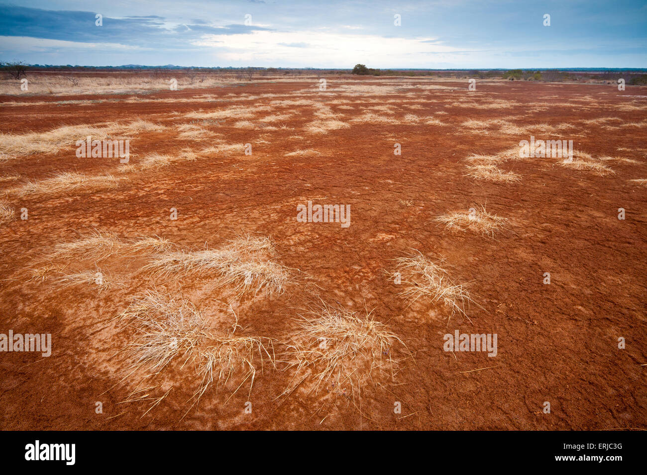 Paesaggio di Panama con erba secca e terra rossa nel deserto del parco nazionale di Sarigua, provincia di Herrera, Repubblica di Panama, America Centrale. Foto Stock