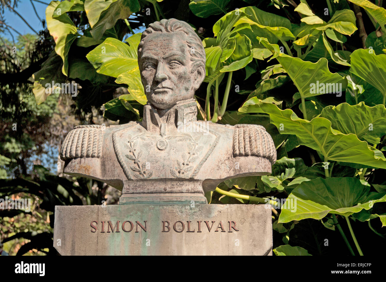 Simon Bolívar Statua, Funchal, Madeira, Portogallo, Foto Stock