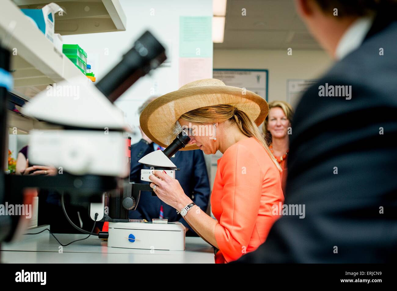 Willem-Alexander re e regina Maxima dei Paesi Bassi Visita al Van Andel Research Institute di Grand Rapids. Stati Uniti, 2 giugno 2015.Il re e la regina di visitare gli Stati Uniti durante un 3 Giorno in visita ufficiale. Foto: Robin van Lonkhijsen/piscina - nessun filo SERVICE - Foto Stock