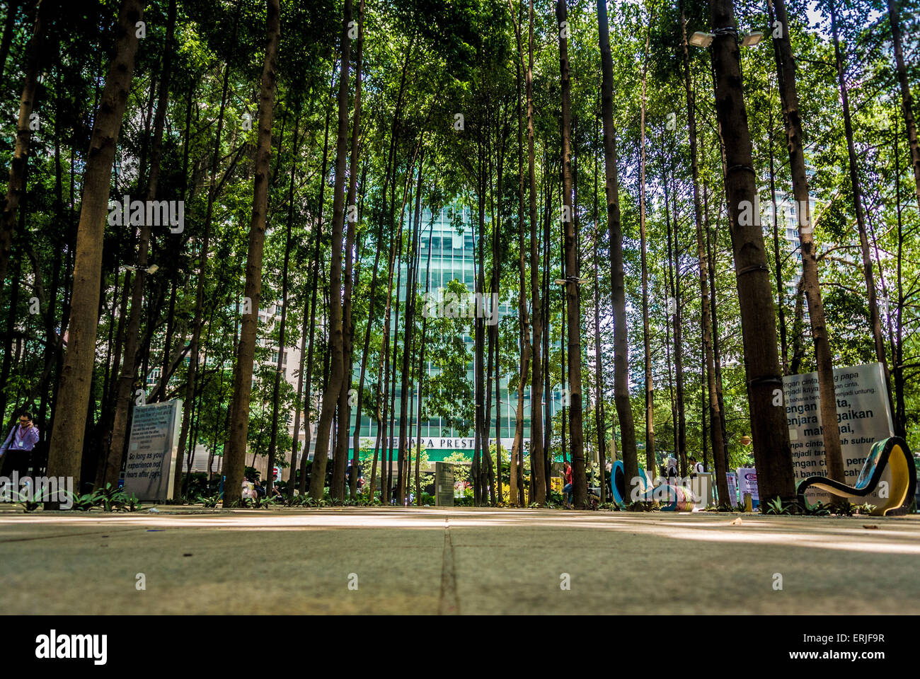 Centro citta' Parco, Kuala Lumpur, Malesia. Foto Stock