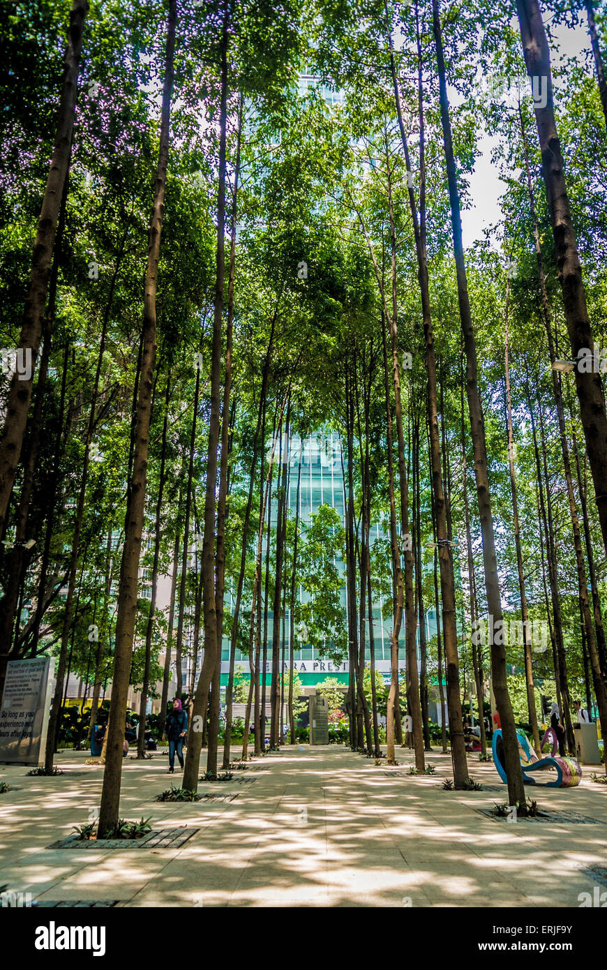 Parco tascabile Standard Chartered (Laman Standard Chartered), una foresta urbana e un'oasi. Kuala Lumpur, Malesia. Foto Stock