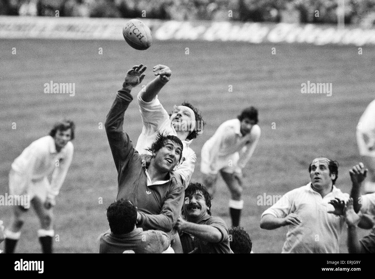Il Rugby 5 Nazioni partita internazionale a Twickenham. Inghilterra 7 v Francia 6. Azione di linea durante la partita che coinvolgono l'Inghilterra del Bill Beaumont. Il 3° marzo 1979. Foto Stock