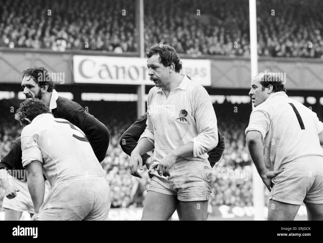 Il Rugby 5 Nazioni partita internazionale a Twickenham. Inghilterra 23 v Scozia 17. Azione durante il match che coinvolgono l'Inghilterra del Bill Beaumont. Il 21 febbraio 1981. Foto Stock