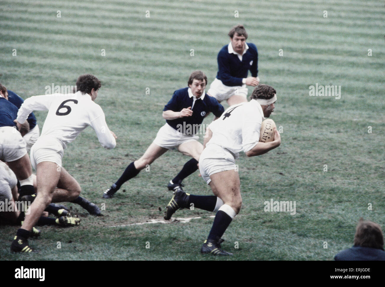 Il Rugby 5 Nazioni partita internazionale a Twickenham. Inghilterra 23 v Scozia 17. Azione durante la partita con l'Inghilterra del Bill Beaumont sull'attacco. Il 21 febbraio 1981. Foto Stock