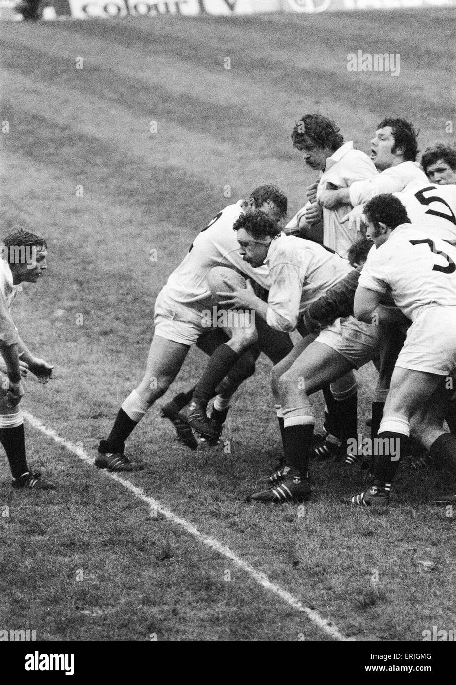 Il Rugby 5 Nazioni partita internazionale a Twickenham. Inghilterra 24 v Irlanda 9. Azione durante il match che coinvolgono l'Inghilterra del Bill Beaumont passando la palla fuori dal ruck. 19 gennaio 1980. Foto Stock