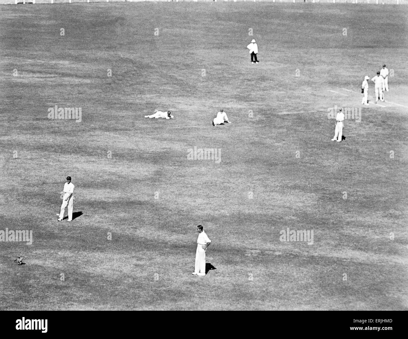 Inghilterra tour di Australia per le ceneri. Inghilterra v Australia terza prova test match al Melbourne Cricket Ground. Jack Hobbs e Herbert Sutcliffe provare a prendere palla. Il 29 dicembre 1928. Foto Stock