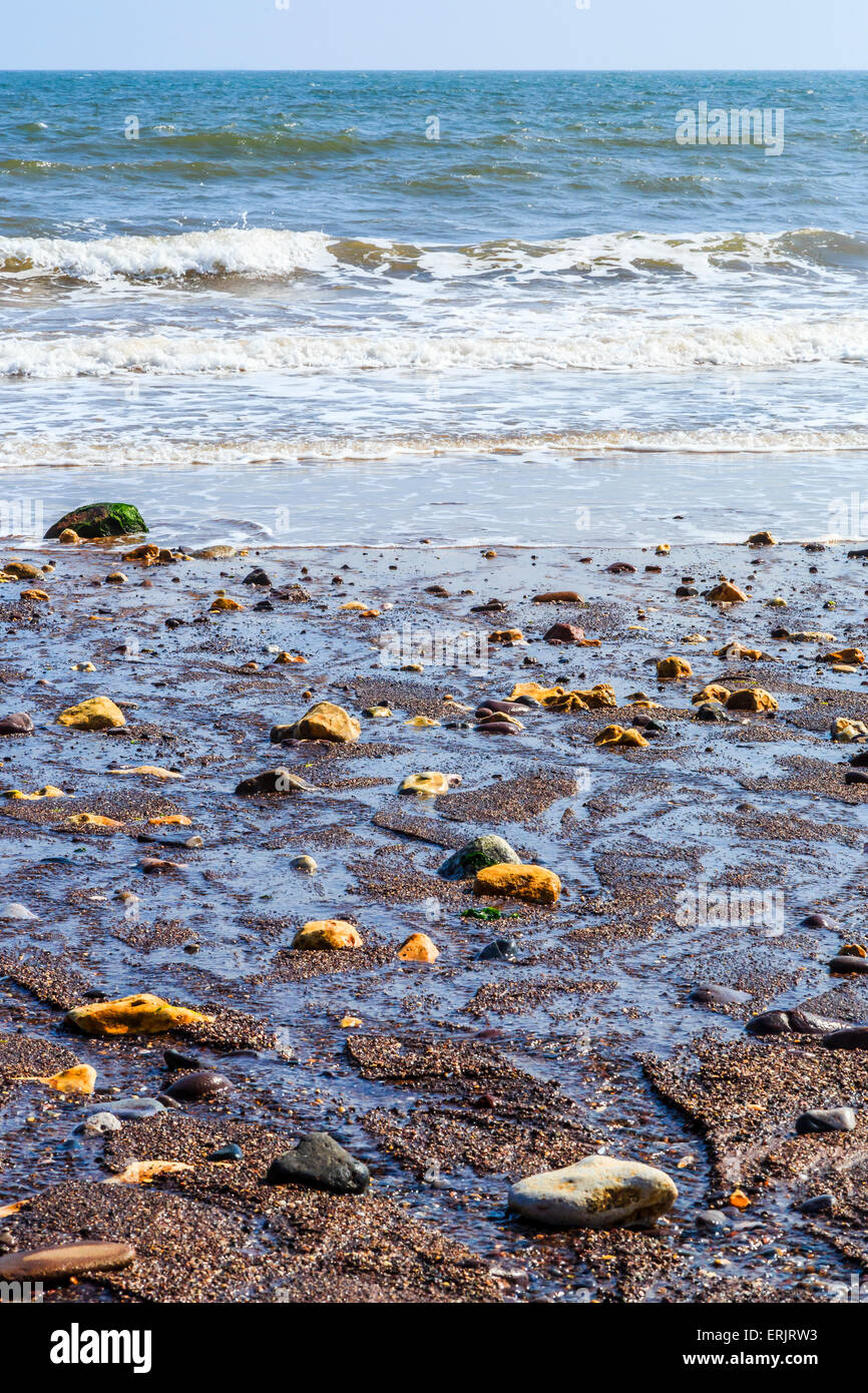 Ciottoli su una spiaggia a Dawlish, South Devon, Inghilterra, Regno Unito Foto Stock