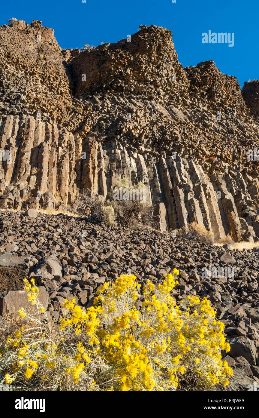 Rabbitbrush e basalto colonnare rock formazione in Crooked River Canyon, central Oregon. Foto Stock
