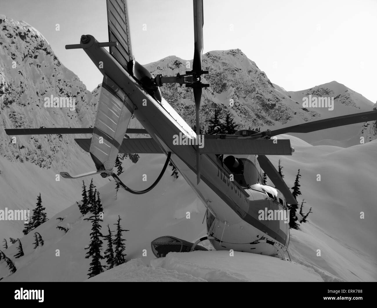 Vista dal retro di un elicottero atterrato sulla neve in alta montagna sopra Haines, a sud-est di Alaska Foto Stock