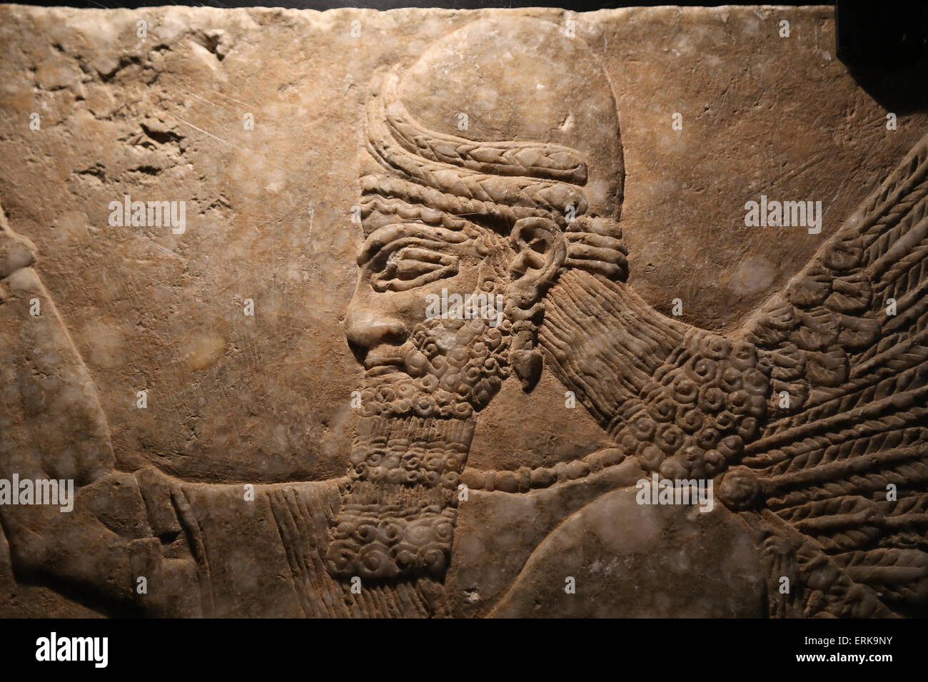 Genio alato inginocchiato davanti dell'albero sacro. Dalla Sala I del Palazzo nord-ovest a Nimrud. Periodo Neo-Assyrian. Foto Stock