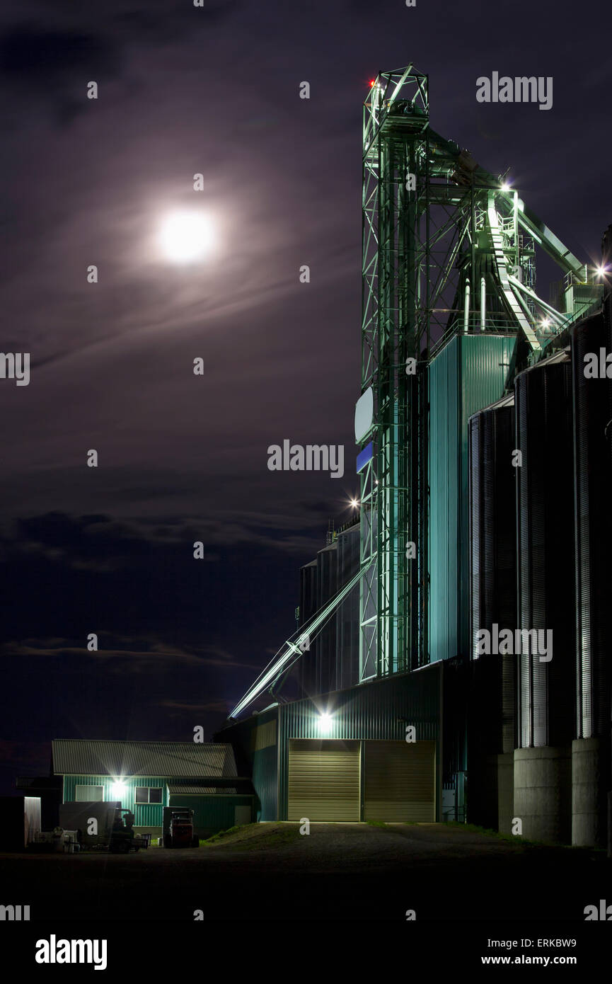 Buio serale con la luna dietro le nuvole appena prima della tempesta sulla prateria accanto a un elevatore del grano; Alberta, Canada Foto Stock