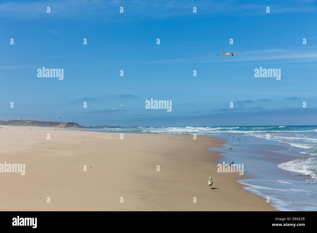 Spiaggia di sabbia fuori la Highway 1 o la California State Route 1 a San Gregorio, CALIFORNIA, STATI UNITI D'AMERICA Foto Stock