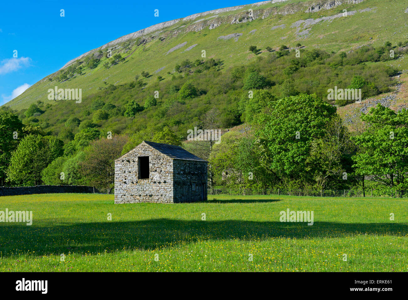 Campo fienile vicino Muker, Swaledale, Yorkshire Dales National Park, North Yorkshire, Inghilterra, Regno Unito Foto Stock