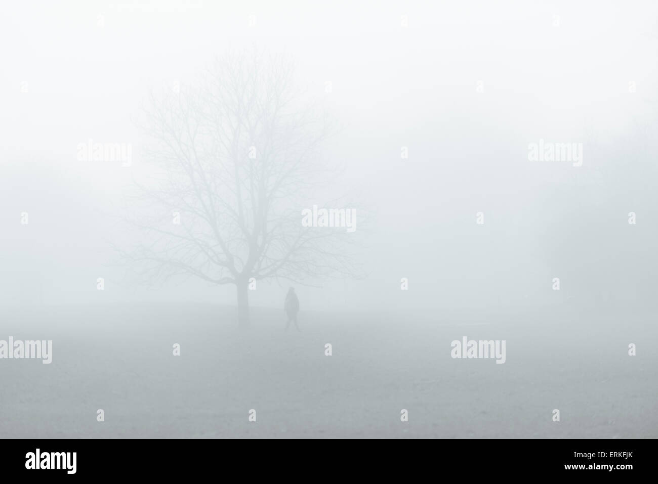 Un individuo a piedi in un parco in un giorno di nebbia. Vista distante e solo una sagoma della persona e un albero è visibile nella nebbia. Foto Stock