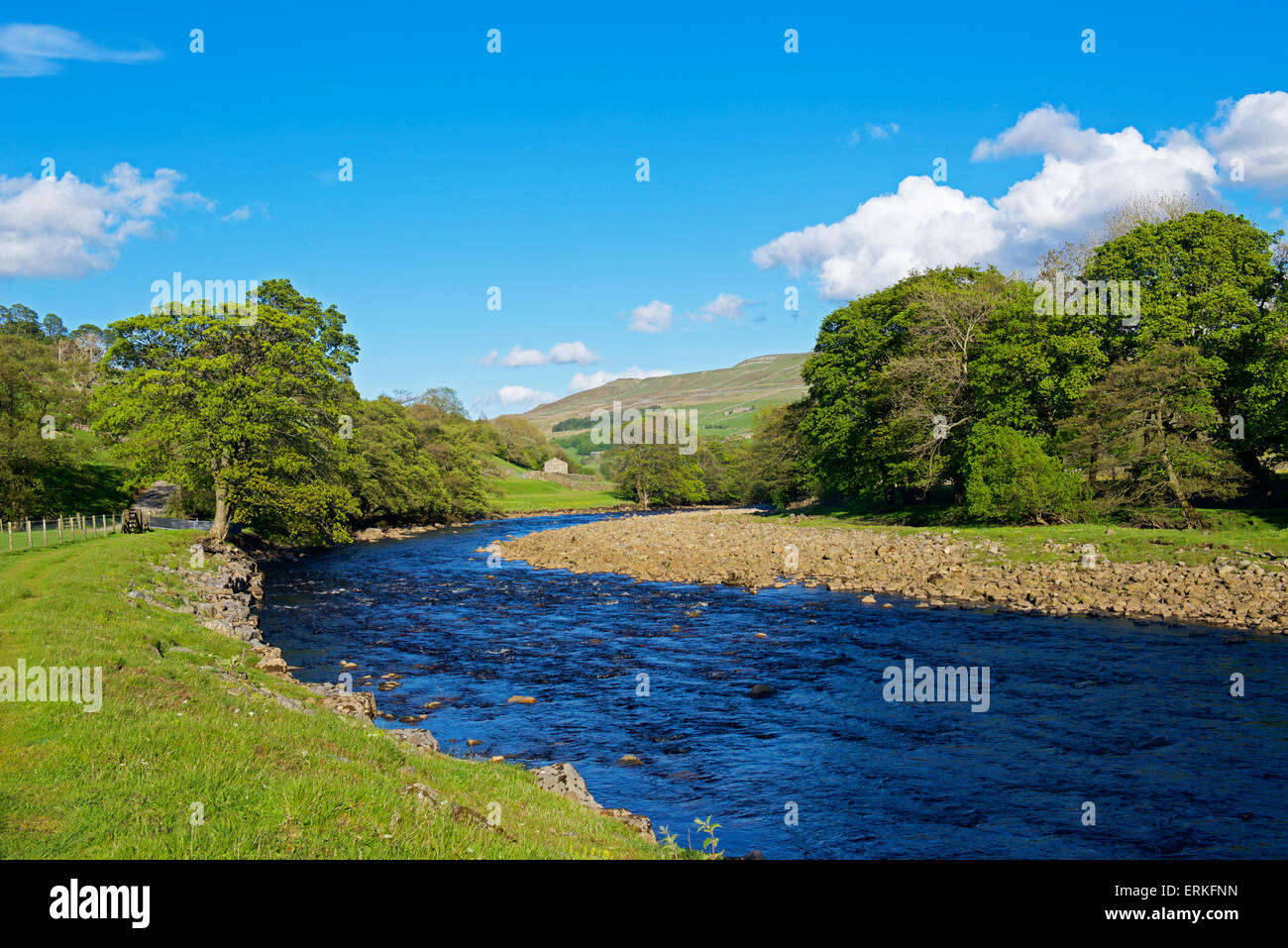 Fiume Swale vicino Muker, Swaledale, Yorkshire Dales National Park, North Yorkshire, Inghilterra, Regno Unito Foto Stock