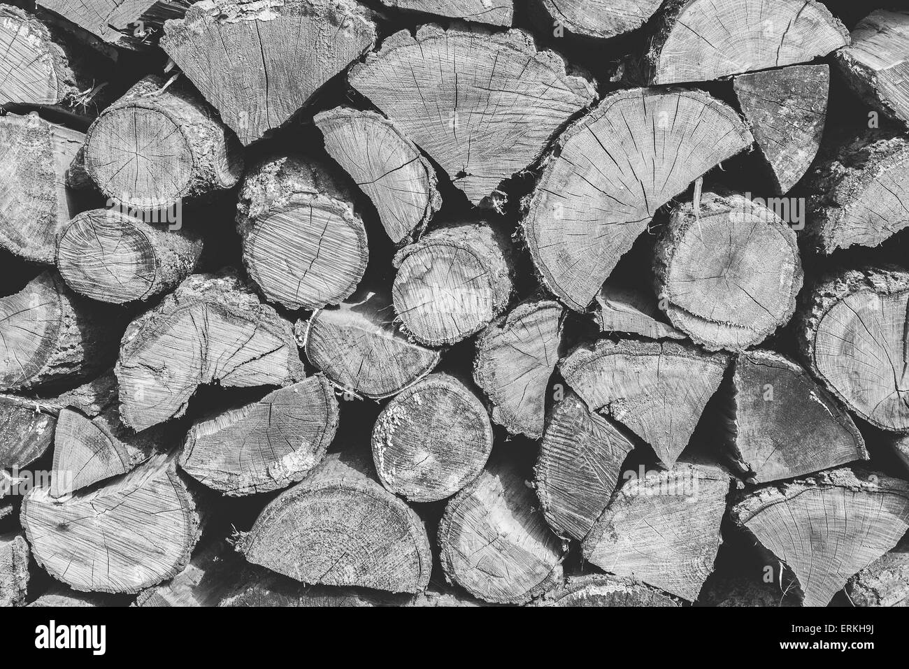 Legna da ardere texture con struttura Nizza crepe e gli anelli di un albero in esso. Foto Stock