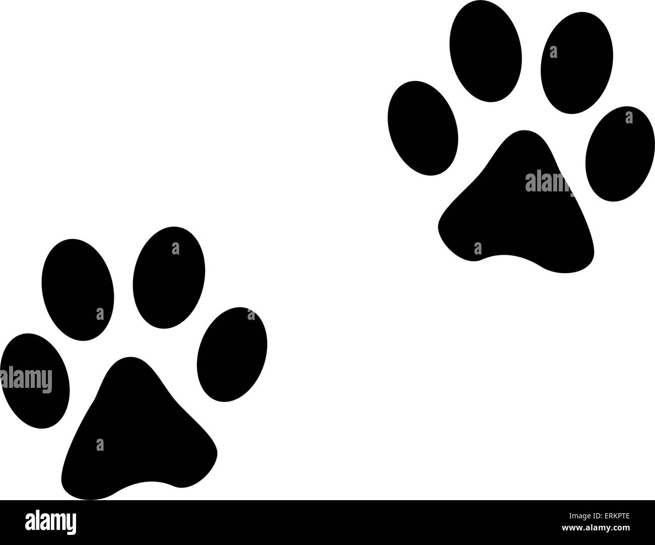 Illustrazione Vettoriale di animali di footprint su sfondo bianco Illustrazione Vettoriale