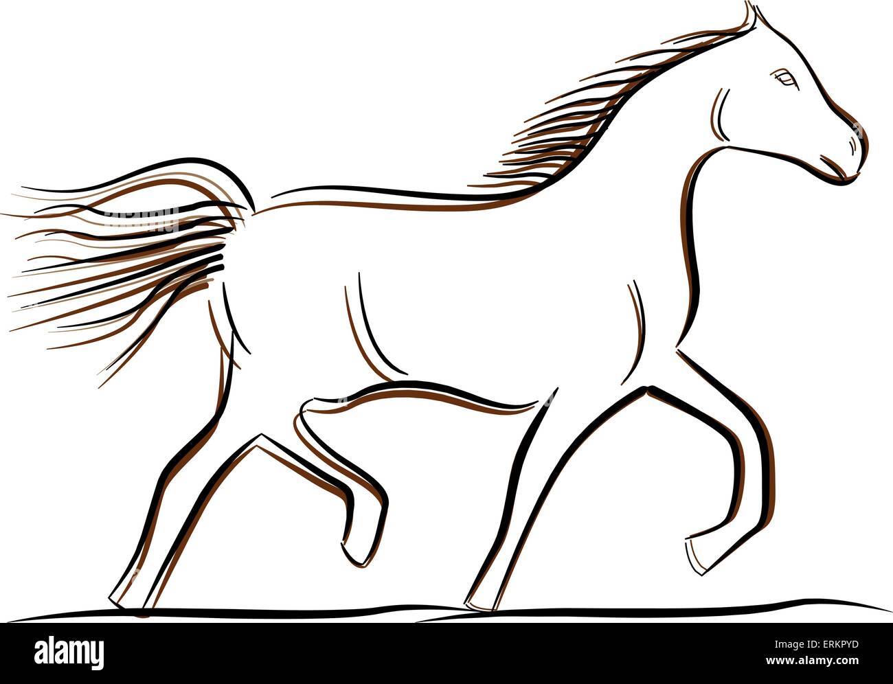 Illustrazione Vettoriale del cavallo di disegno su sfondo bianco Illustrazione Vettoriale