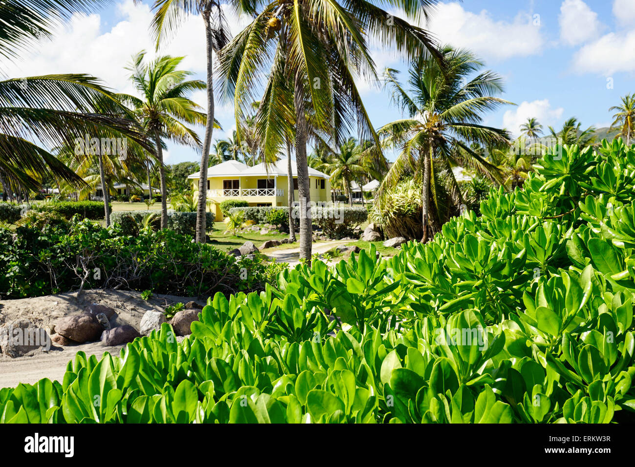 Nesbit Beach Club di Nevis, Saint Kitts e Nevis, Isole Sottovento, West Indies, dei Caraibi e America centrale Foto Stock