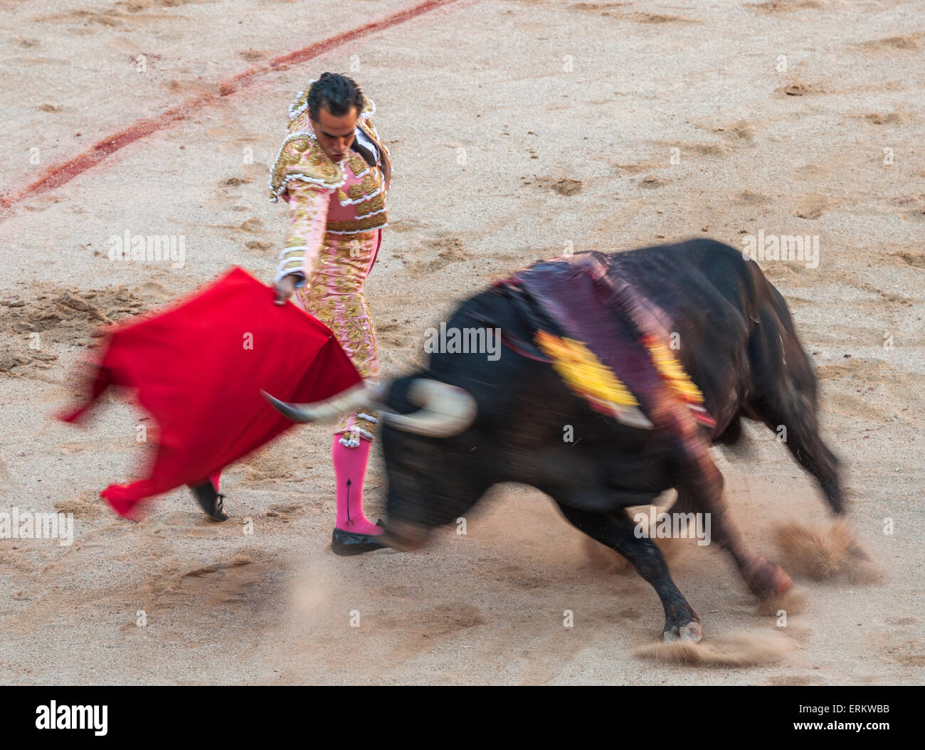 Corride, Festival di San Fermin, Pamplona, Navarra, Spagna, Europa Foto Stock