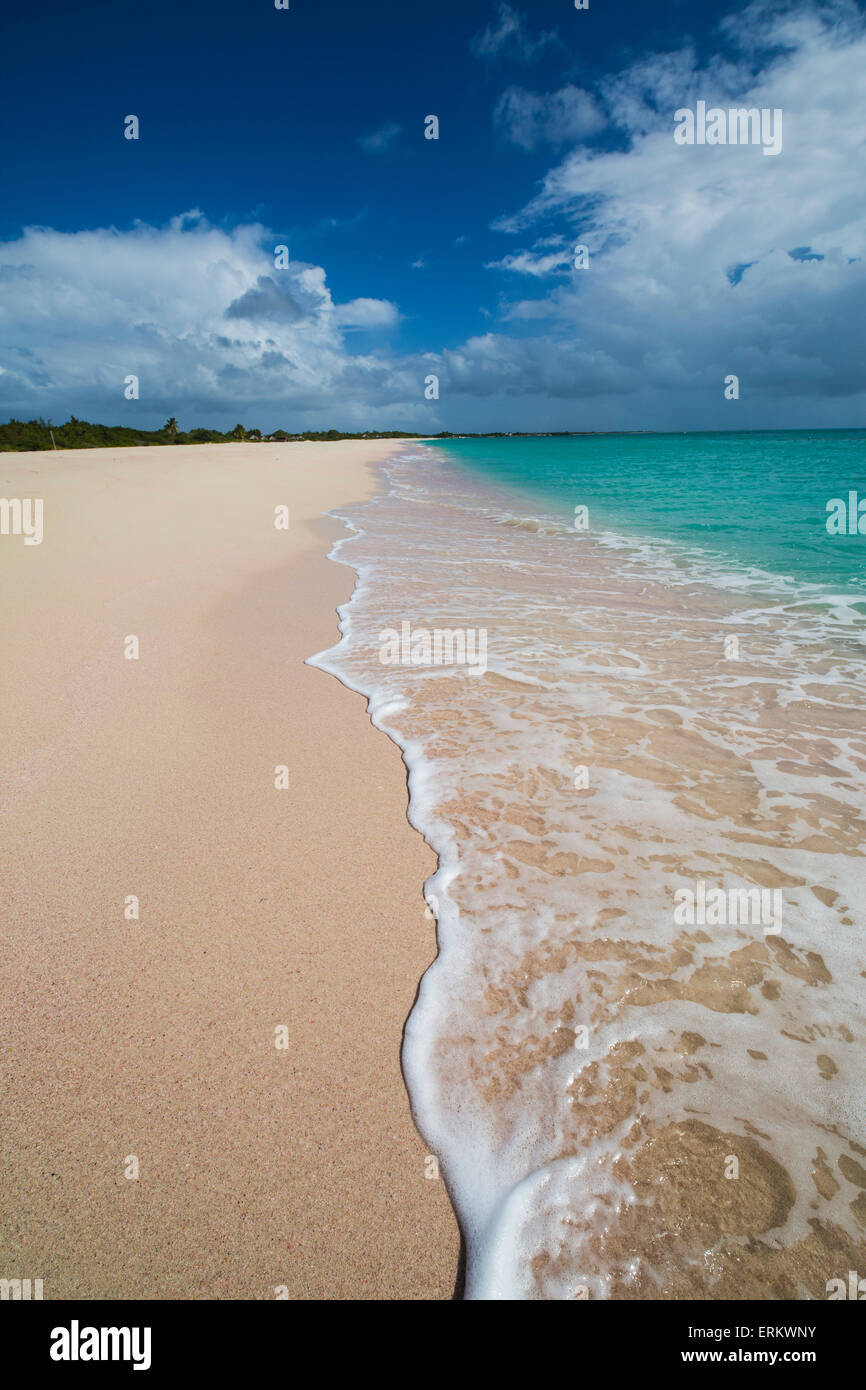 Sabbia Rosa Beach è situato sulla costa sud ovest della piccola isola di Barbuda, Antigua e Barbuda, Isole Sottovento Foto Stock