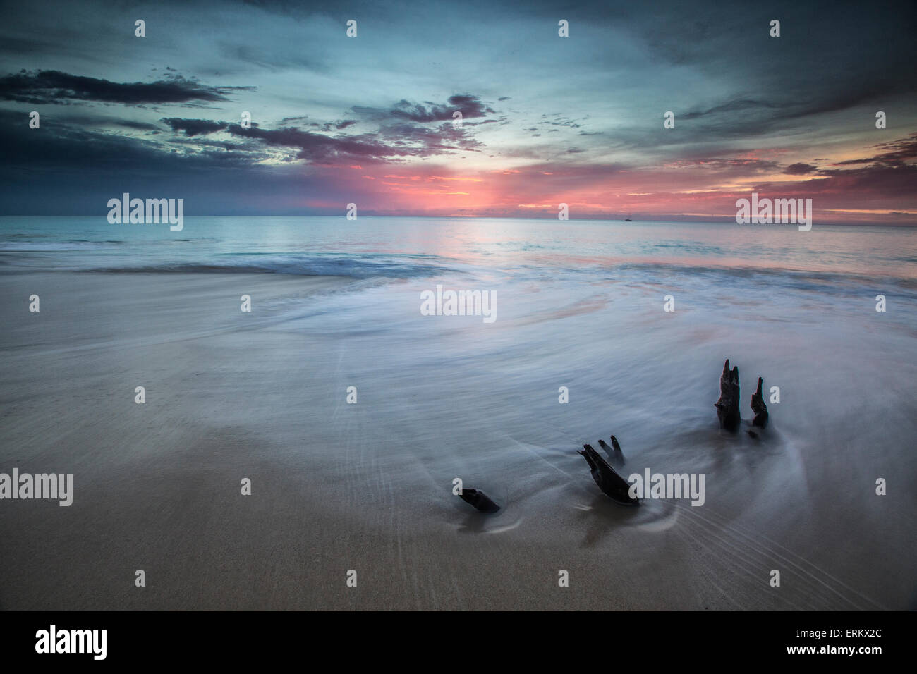 Piccoli tronchi di alberi fanno un ambiente unico al tramonto sulla spiaggia friggitrici, Antigua, Isole Sottovento, West Indies, dei Caraibi Foto Stock