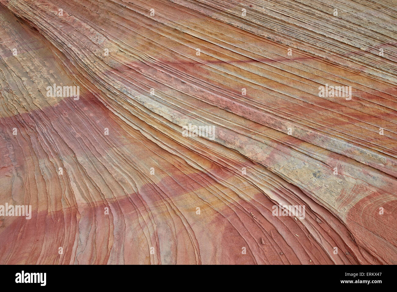 Strati di pietra arenaria e linee, Coyote Buttes deserto Vermiglio scogliere monumento nazionale, Arizona, Stati Uniti d'America Foto Stock