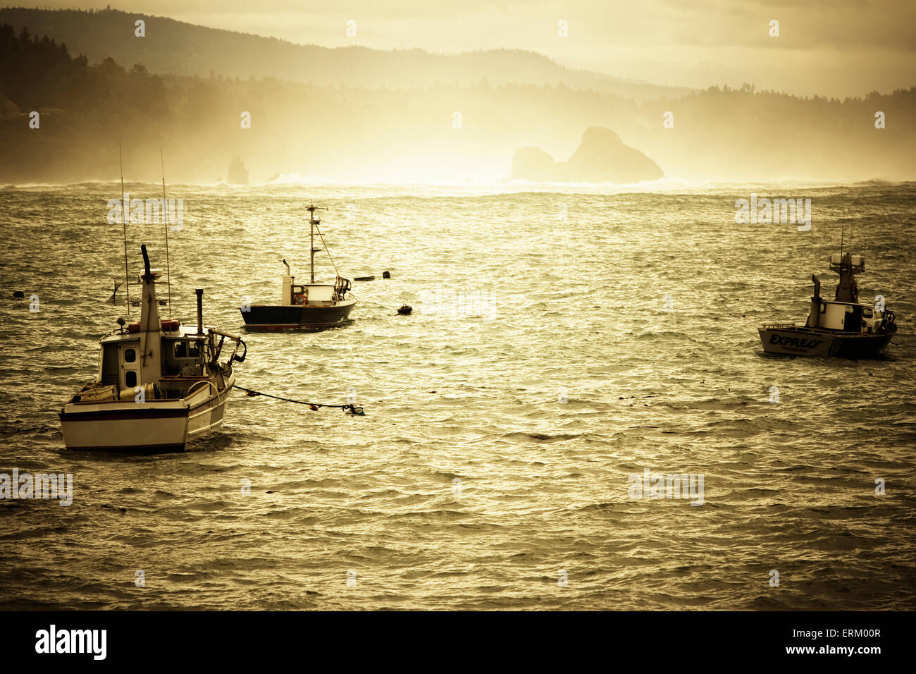 Barche da pesca in acqua, Trinidad, California. Foto Stock