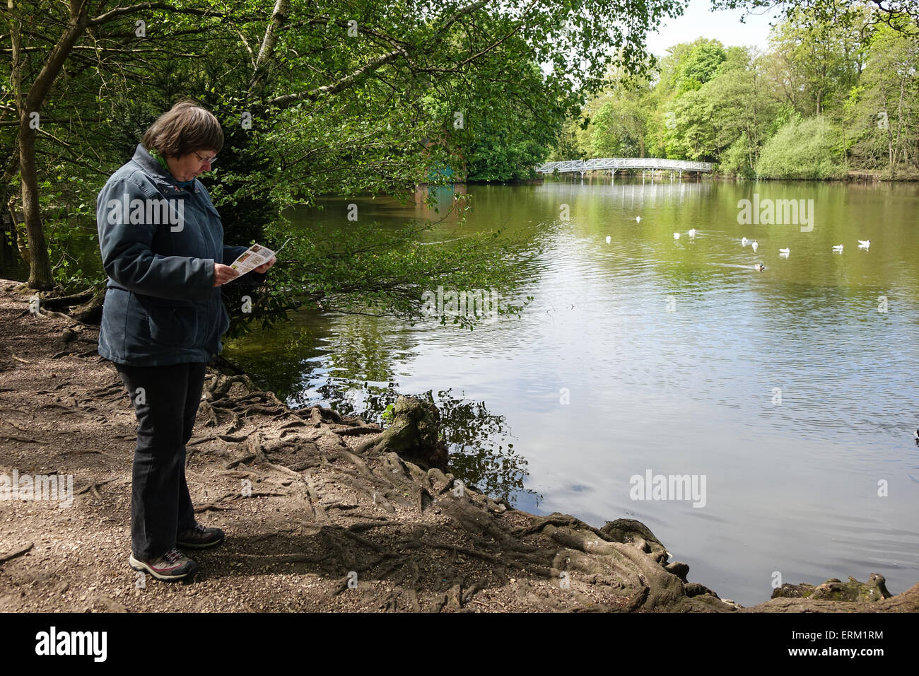 La donna accanto al lago Hartsholme, Lincoln Foto Stock