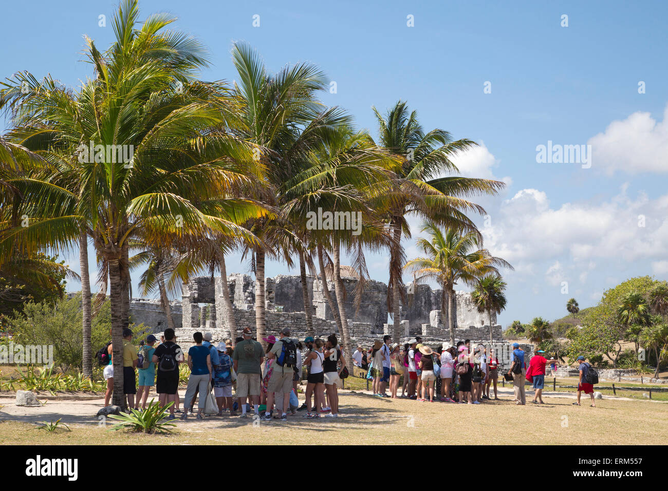 Turisti in un tour guidato della città murata Maya di Tulum, all'ombra di palme in una giornata calda, Yucatan, Messico Foto Stock