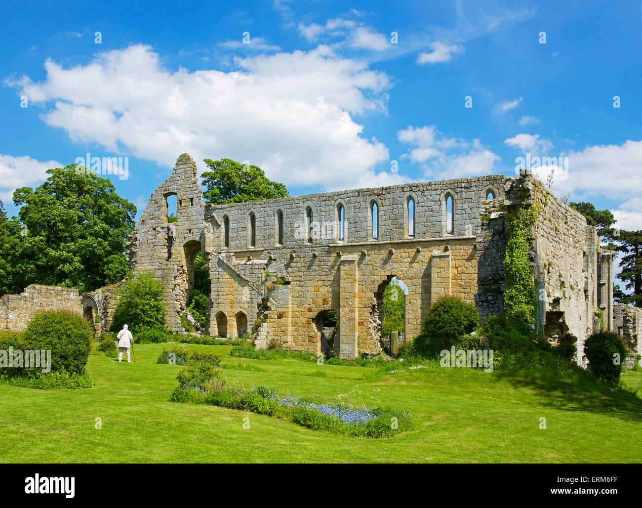 Jervaulx Abbey, vicino Oriente Witton, North Yorkshire, Inghilterra, Regno Unito Foto Stock