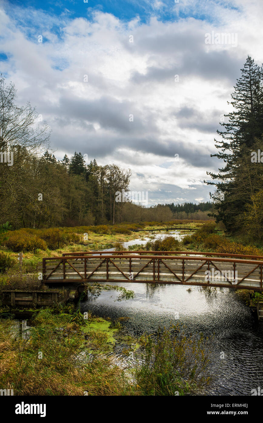 La Campbell fiume scorre attraverso la Campbell Valley Regional Park; Langley, British Columbia, Canada Foto Stock