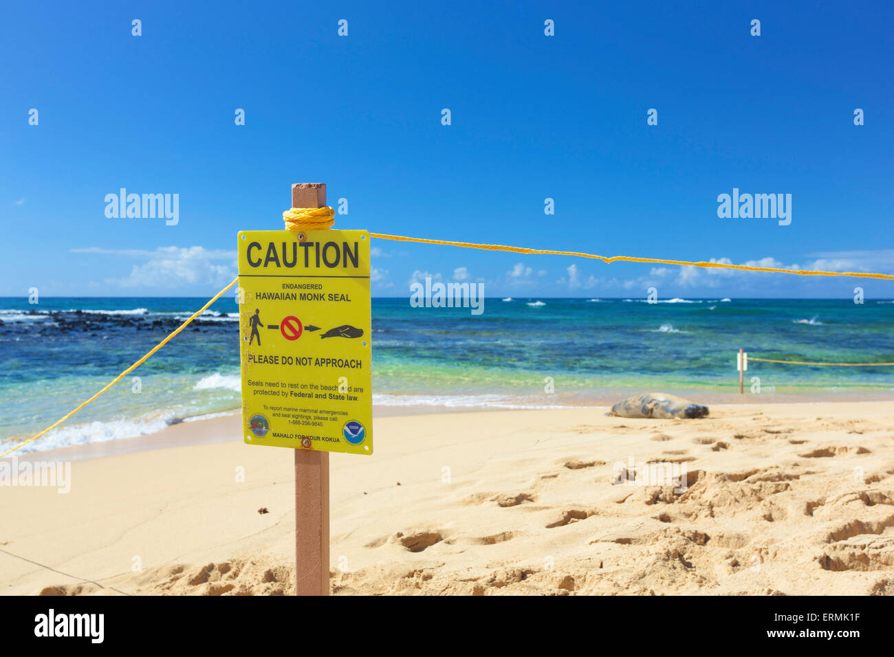La spiaggia di Poipu Beach, a sud di Kauai; Kauai, Hawaii, Stati Uniti d'America Foto Stock