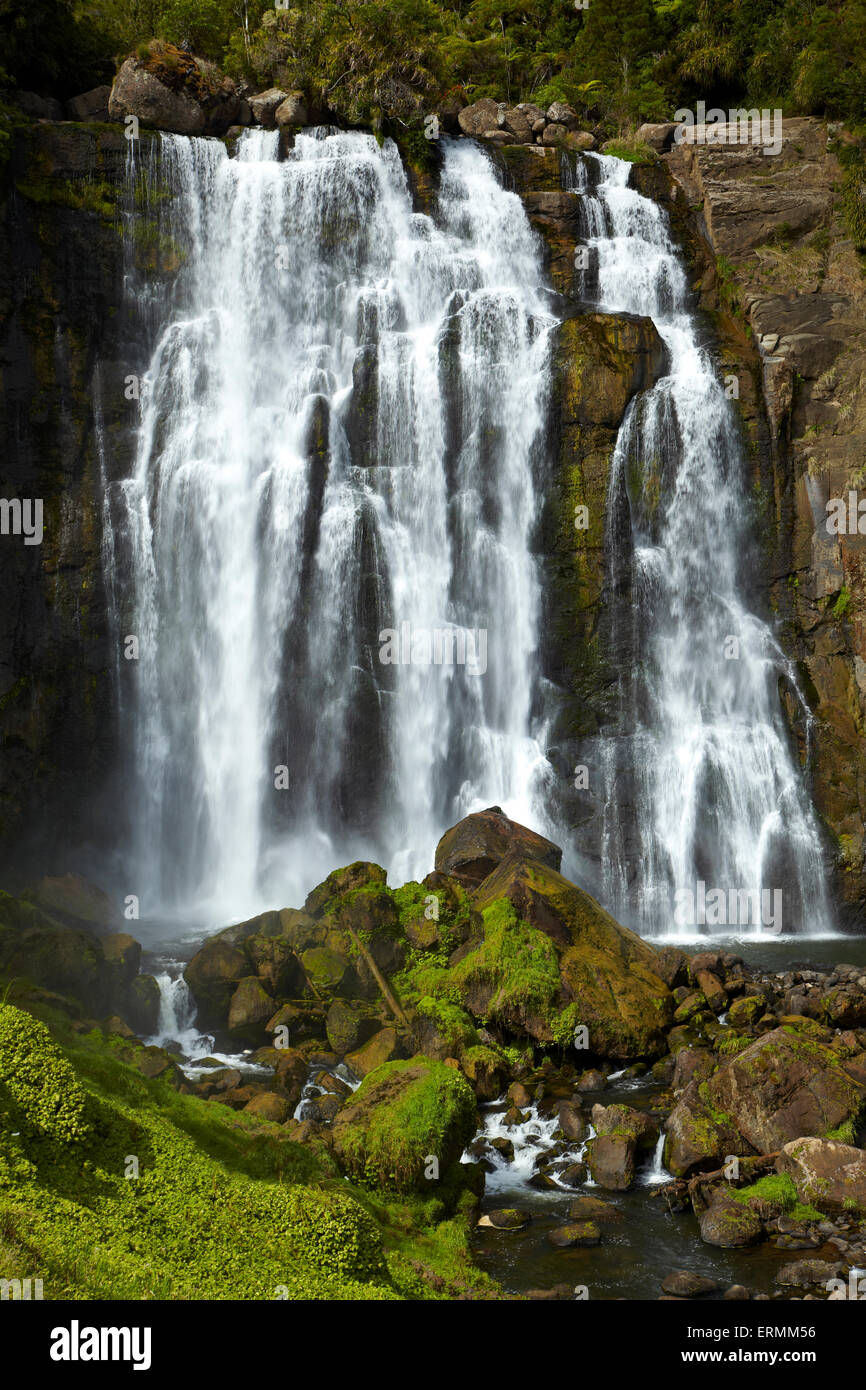 Marokopa Falls, Distretto di Waitomo, Waikato, Isola del nord, Nuova Zelanda Foto Stock